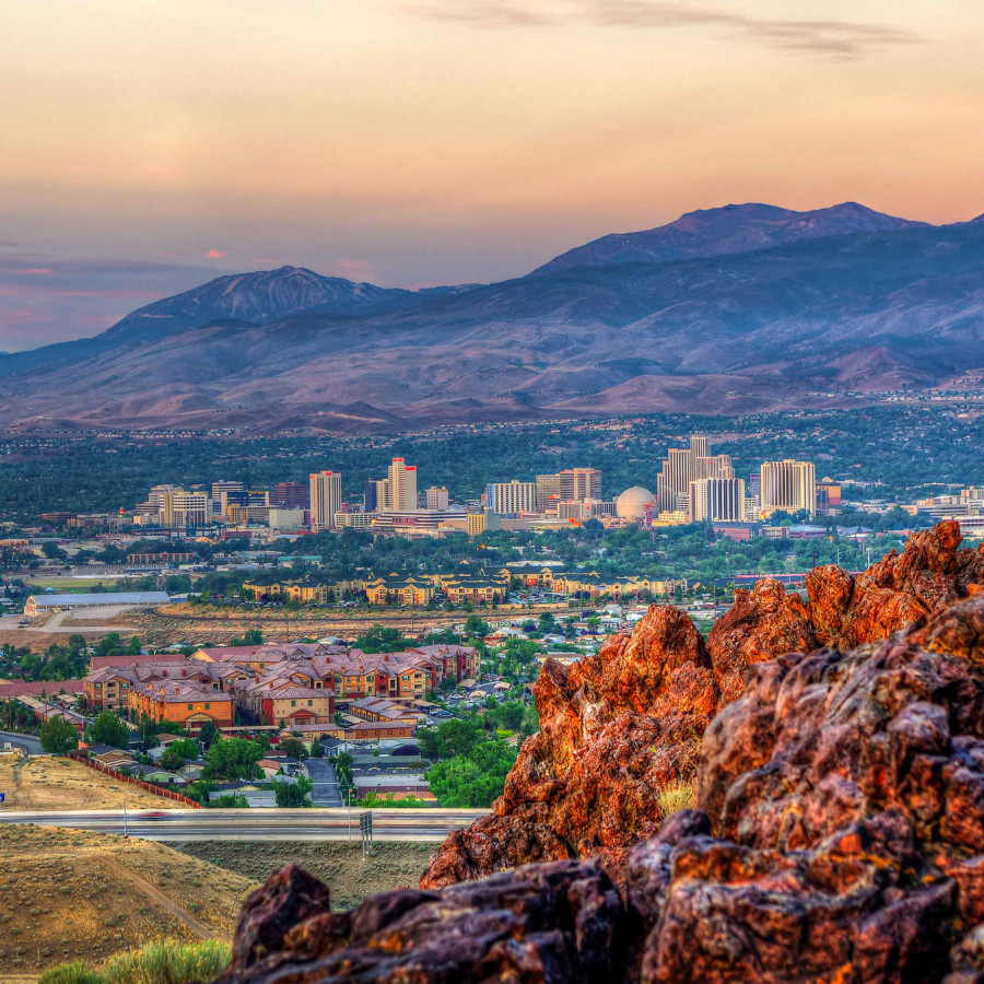 Reno_Landscape Nevada Disability Advocacy and Law Center (NDALC)